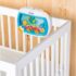 Baby Einstein - Jucarie muzicala Visele din Adancul Marii 4 Baby Einstein Jucarie muzicala Visele din Adancul Marii tiny tots bebe magazin copii cluj 1
