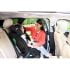 Joie - Scaun auto Fortifi R129 Thunder, 76-145 cm, certificat R129 11 fortifir129 shale 0098 cc v2 hr