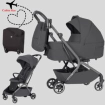 Carucior 2 in 1 Carrello Magia Elm Grey