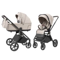 Carucior 2 in 1 Carrello Ultra Ice Grey