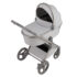 Carucior 2in1 Anex Flo Frossy