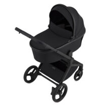Carucior 2in1 Anex Flo Lungo